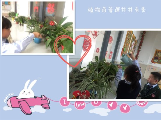 植物角管理图。