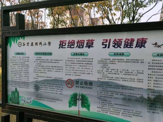 无烟日橱窗宣传