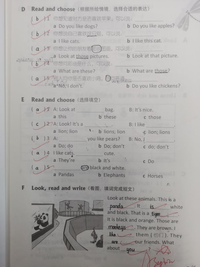 英语作业2
