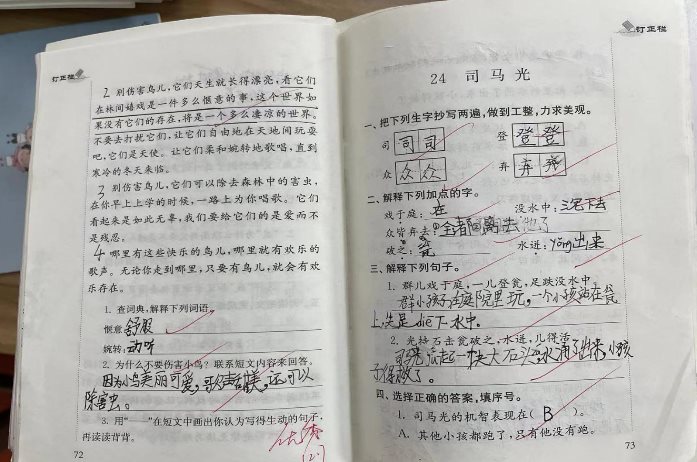 五认真6